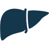 Liver